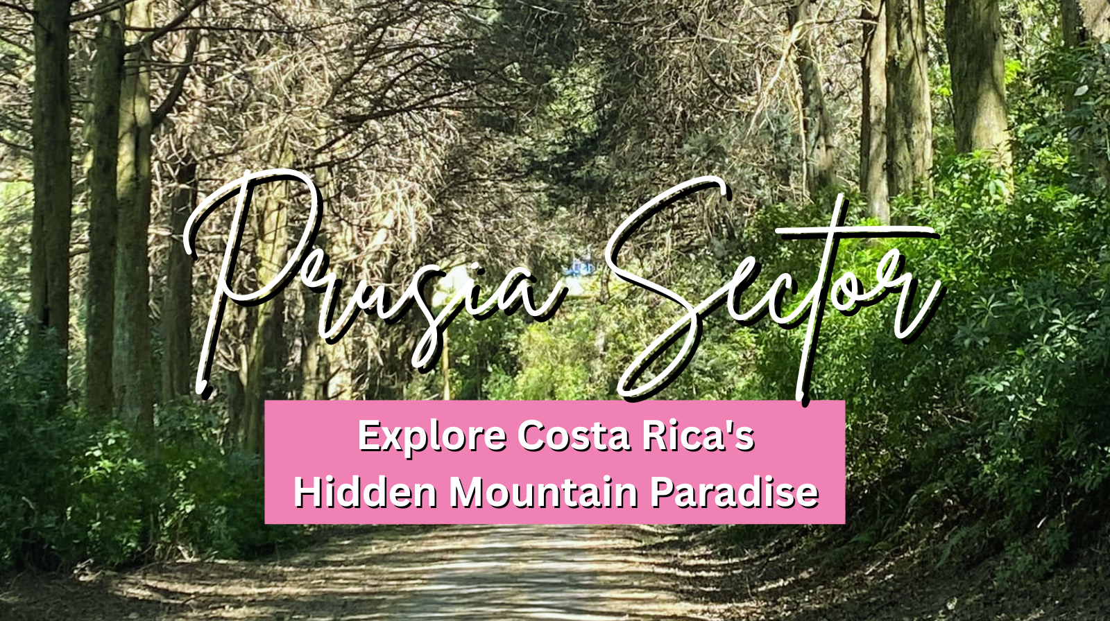 Explore Costa Rica's Hidden Mountain Paradise
