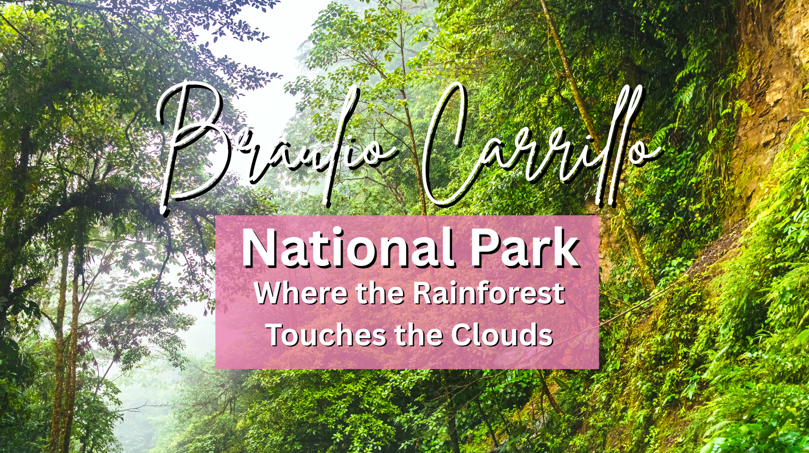 Braulio Carrillo National Park Where the Rainforest Touches the Clouds