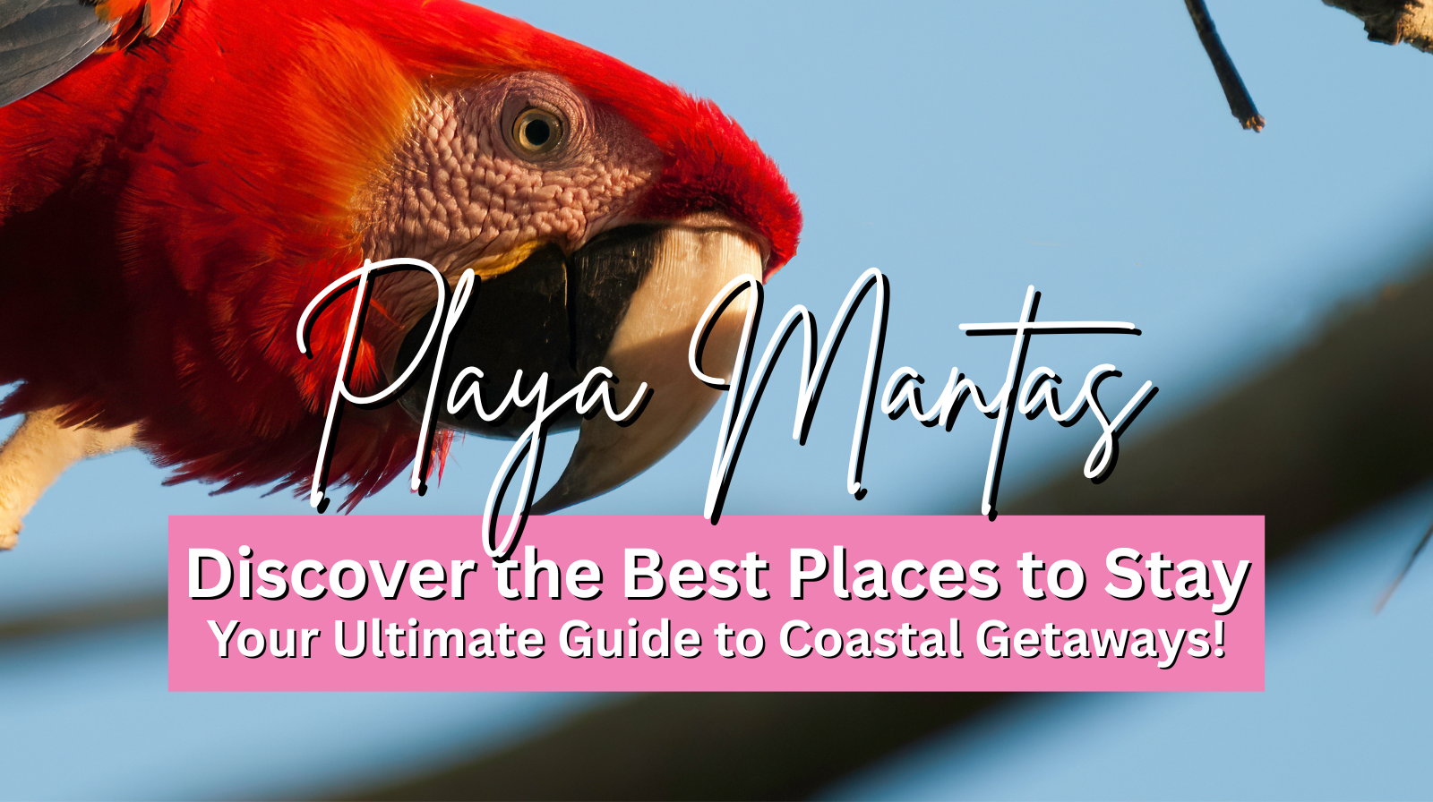 Discover the Best Places to Stay Near Playa Mantas: Your Ultimate Guide to Coastal Getaways!
