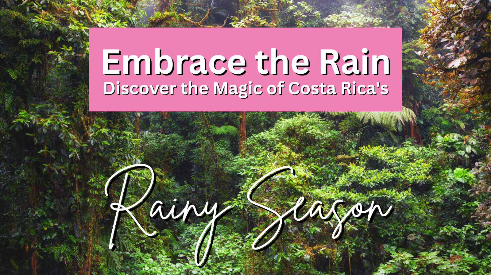 Discover the Magic of Costa Rica's Rainy Season
