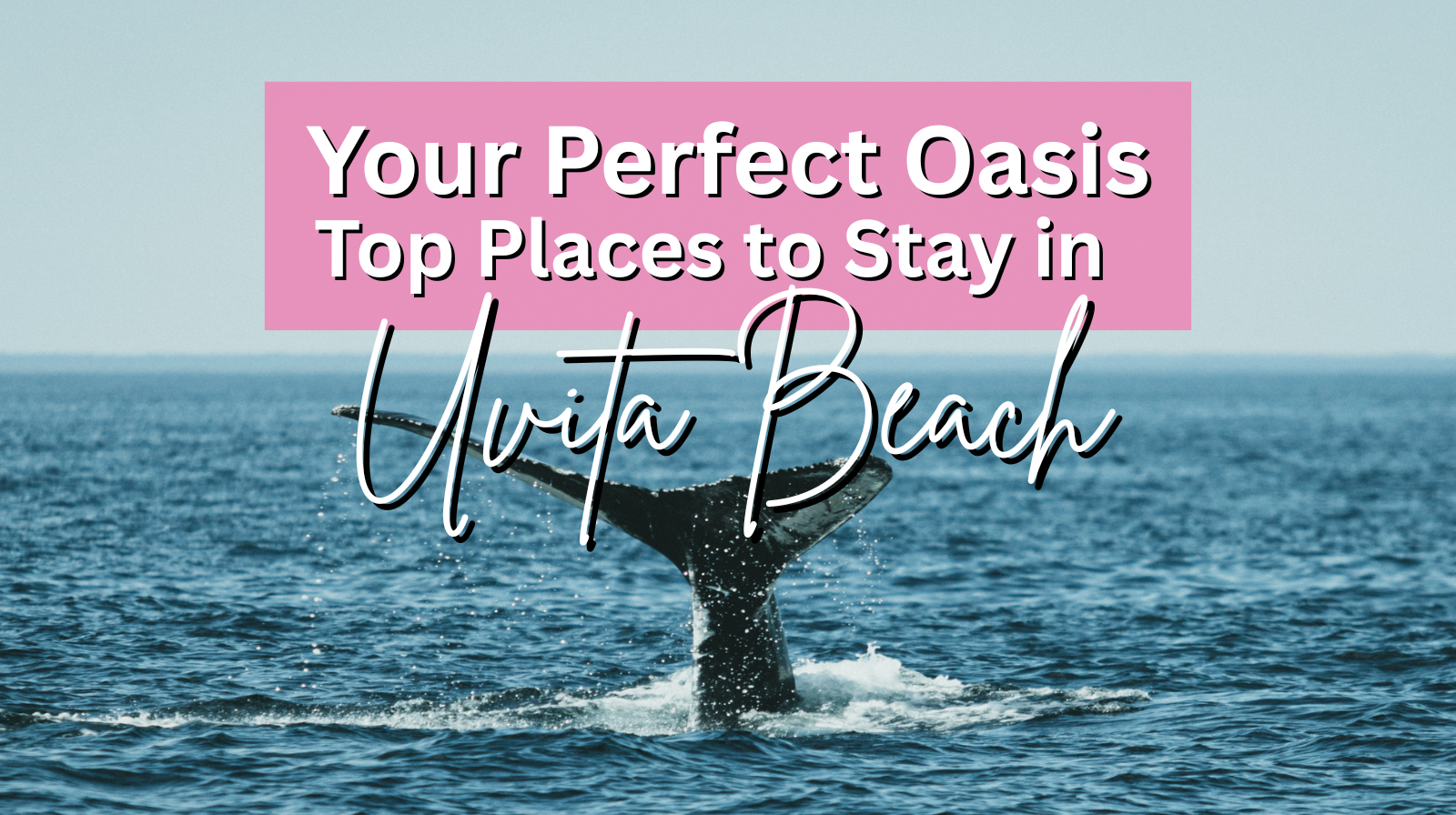 Your Perfect Oasis Top Places to Stay in Uvita