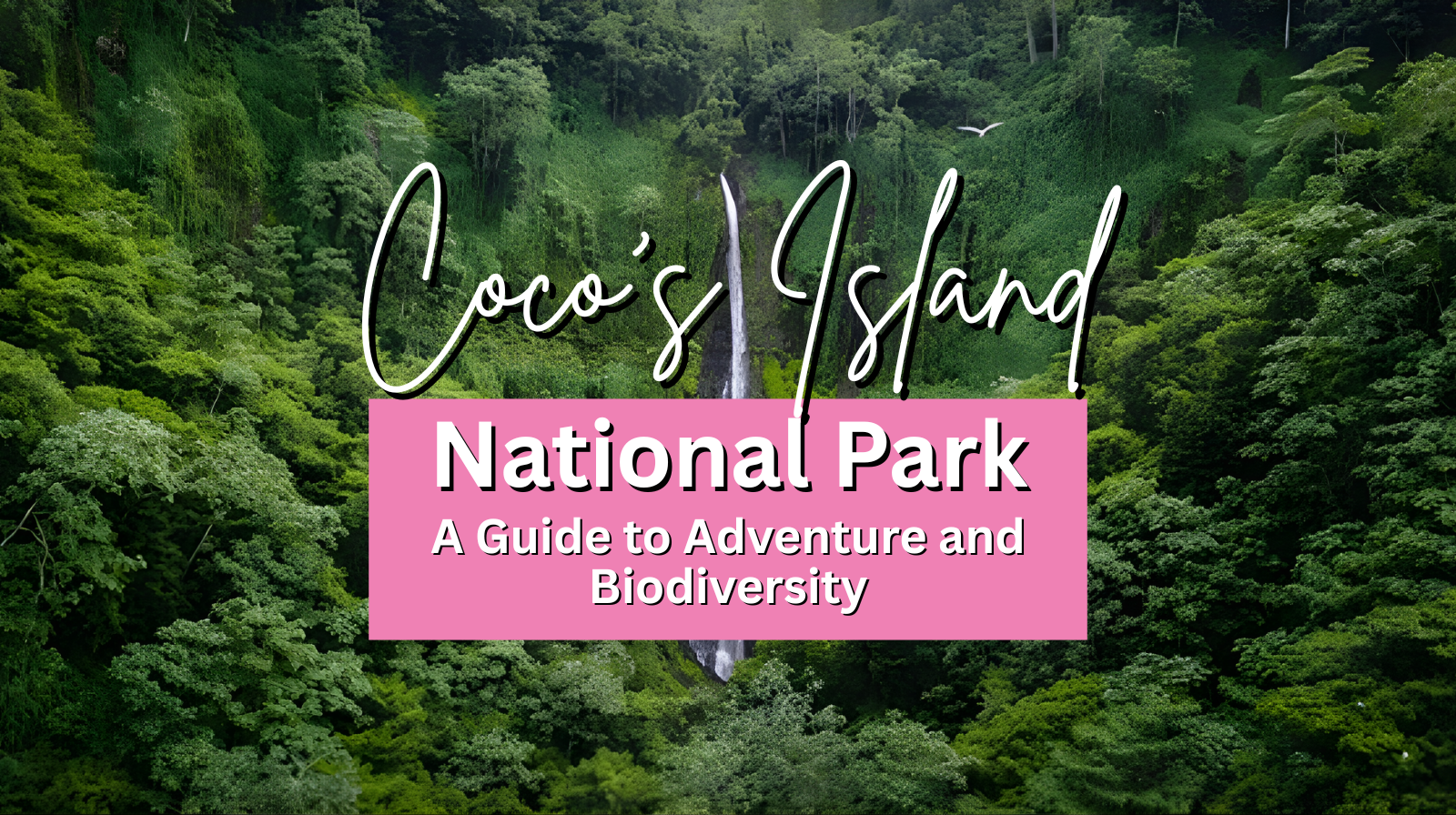 Cocos Island National Park: A Guide to Adventure and Biodiversity