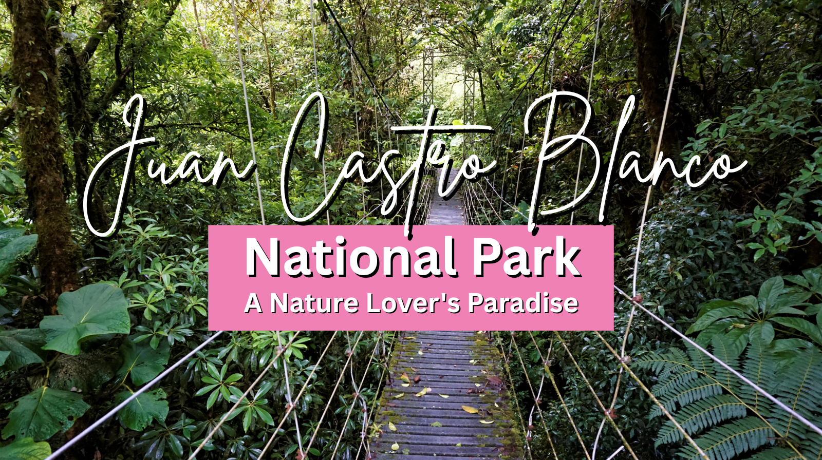 Juan Castro Blanco National Park A Nature Lover's Paradise
