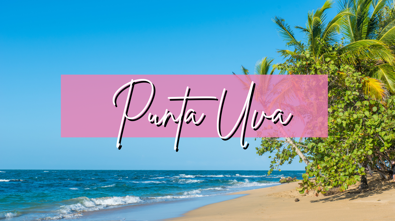 Punta Uva