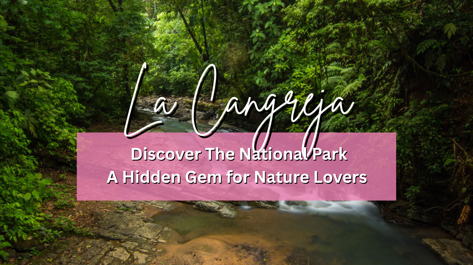 Discover La Cangreja National Park: A Hidden Gem for Nature Lovers