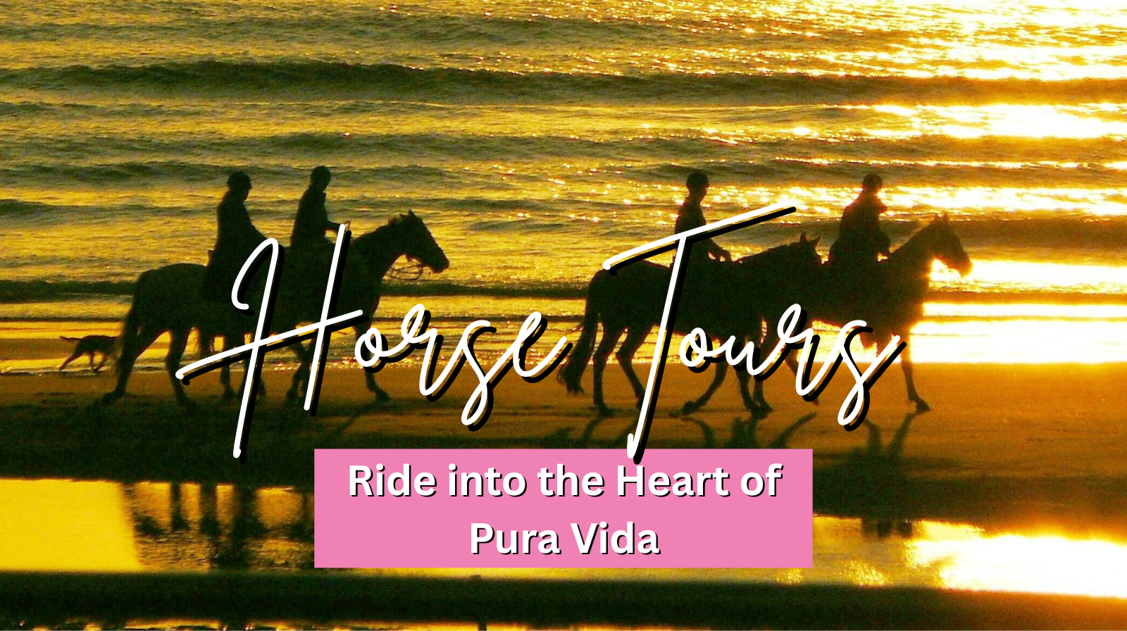 Ride into the Heart of Pura Vida